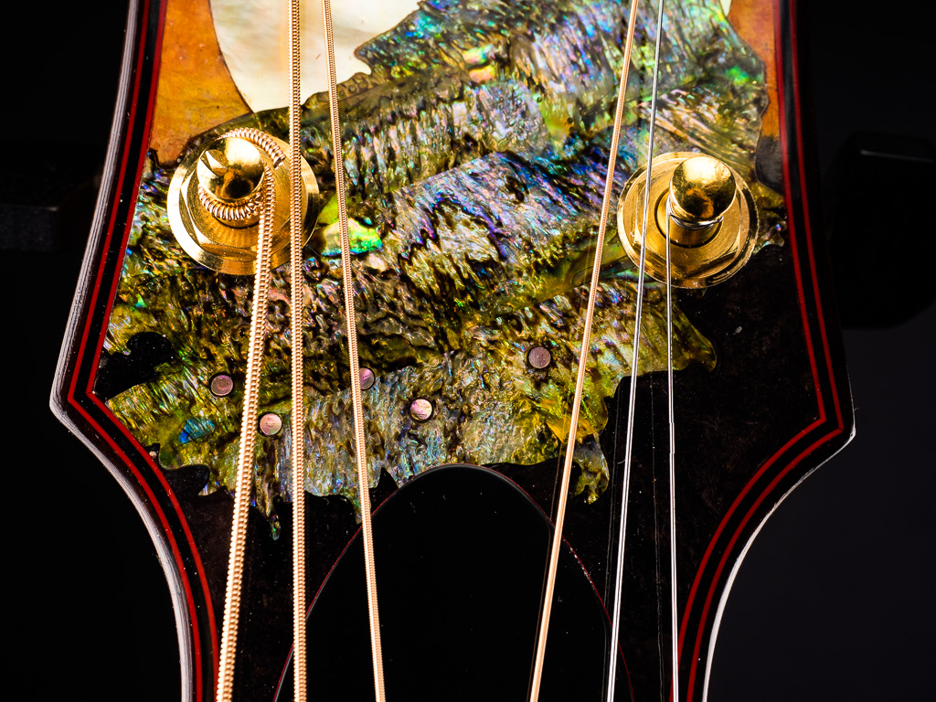 Detail of Empress Peacock tail